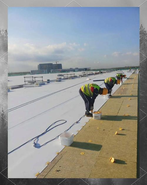聚氯乙烯防水卷材:建筑防水工程的全能选手揭秘