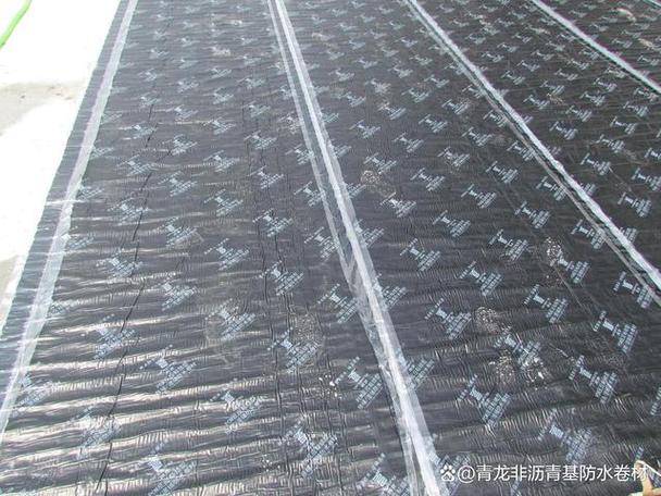 卷材是一种常用的防水材料,以其可靠性和耐久性在建筑领域得到广泛